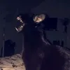 _mariapavlovna_4