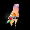 mohamedzein2241