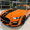 fandeford_mustang