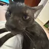 tamosnalua