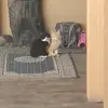 0ty20