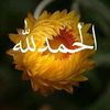 user4zg06bfmsd