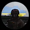 _xiimick_