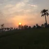 saimanaveed675