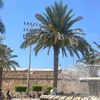 malek.alhaj.ezy5w0m23