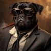 pug197