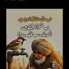 muhmmadrafiqkambo