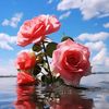 user51850747