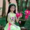 mechithulong