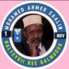 habiyare290