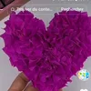 wdxpg7