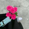 _re_em19