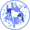 Painted Dressage