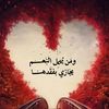 user288576429