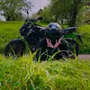 beylo95