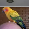mikeveachjr