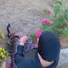 🦋 الفراشة 🦋