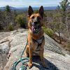 adventurewithrileybane