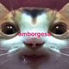 angelboy7__