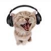 i_love_cats_031