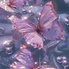 sarah.snds