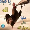 sb_he74