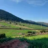 bella_tafrokht