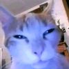 fanblaze_45