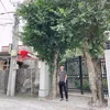 Gã đầu bạc
