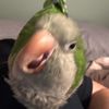 coughedupcrackers