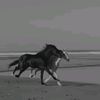 yhab83