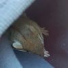 lexi_lewey_123454321