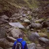 mattchambers80
