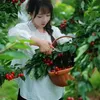 anh98.6688