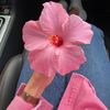tota_0672