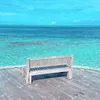 andreeamihaela428
