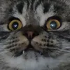 miksucc
