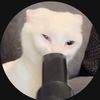 im.here.bitcheees.xoxo