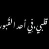 hazn1155