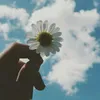 pleasedonot24