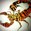 scorpion7586