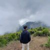 rendi_d
