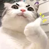 boongcb