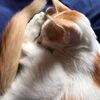 sumaiya_maisha_16