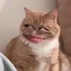 caxu0_11