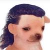 s0dabox
