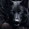 Carlos𖨆Magos🐺