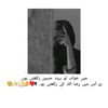 amnaalihyder29