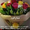 sherifazab0