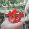 violet_tim2205
